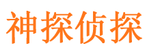 福山调查公司